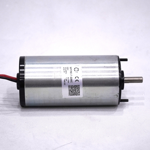 Motor chà của máy giặt thảm liên hợp CT3A 0